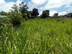 Find Residential Land For Sale With Clear Title