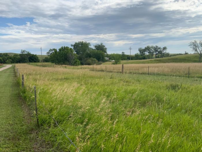 Explore Farms For Sale With Agricultural Land Included