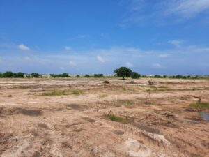 Buy Cheap Land For Sale Near Me With Clear Title