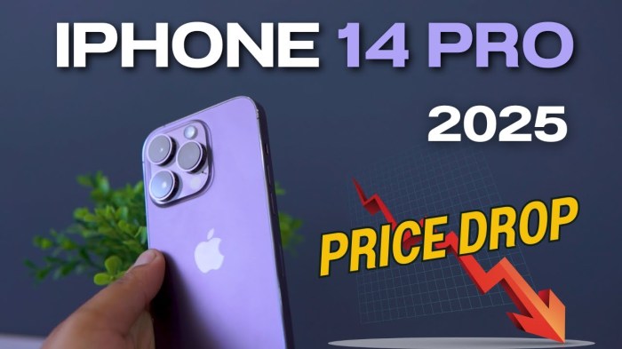 Check Apple iPhone 14 Pro Price Today