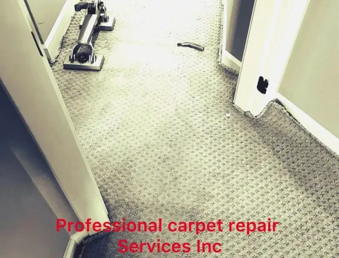 Order Carpet Replacement Services With Fast Turnaround Time