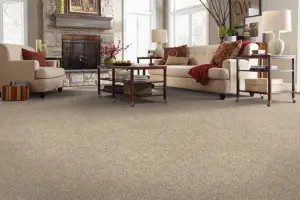 Buy Floor Carpet For Home With Durable and Stylish Finish