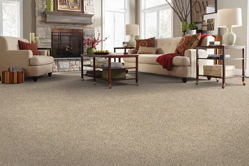Buy Floor Carpet For Home With Durable and Stylish Finish