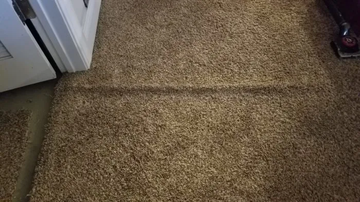 Schedule Stretch Carpet Service To Restore Flooring Appearance