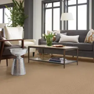 Discover Carpets Plus For Complete Flooring Solutions