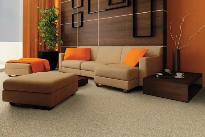 Shop High Quality Carpet Flooring For Modern Home Interiors
