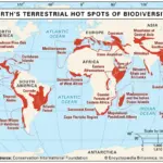 Conservation | Definition, Ecology, Examples, & Facts | Britannica