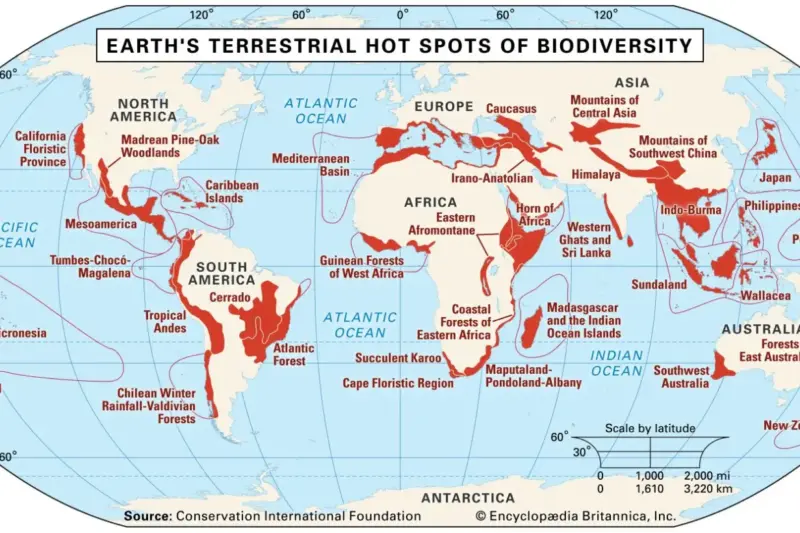 Real Estate Market Investment Guide for Long‑Term Wealth: Proven 2026 Strategies