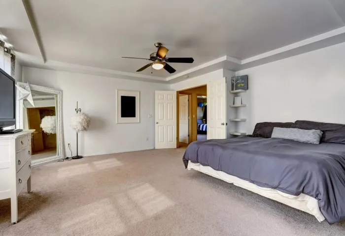 Shop Saxony Carpet For Elegant and Soft Flooring Finish