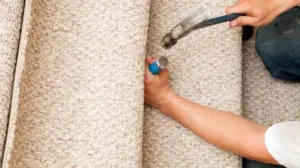 Find The Carpet Man For Reliable Home Flooring Solutions