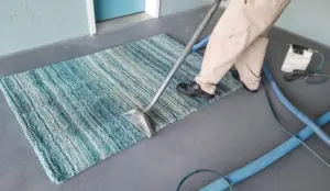 Schedule Professional Carpet Care Service For Long Lasting Flooring