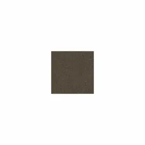 Choose Patcraft Carpet For Commercial Flooring Projects