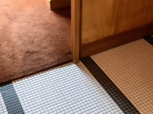 Buy Carpet For Less With Budget Friendly Installation Deals