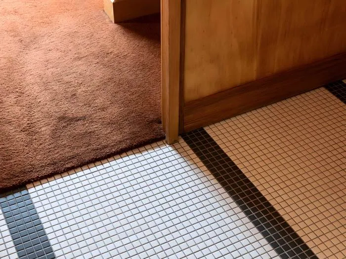 Buy Carpet For Less With Budget Friendly Installation Deals